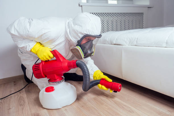 Best Best Pest Control Companies  in Kirkland, WA