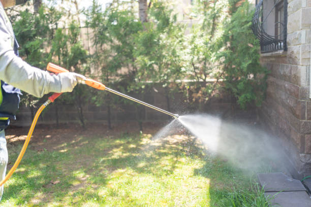 Pest Prevention Services in Kirkland, WA
